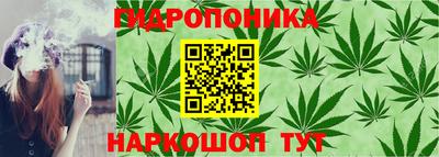 гашик Партизанск