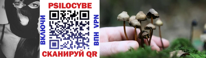 дарк нет состав  Рыбинск  Псилоцибиновые грибы GOLDEN TEACHER 