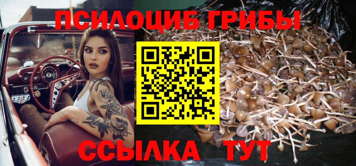 Галлюциногенные грибы MAGIC MUSHROOMS  Псилоцибиновые грибы Psilocybine cubensis  Рыбинск  Вход с VPN 