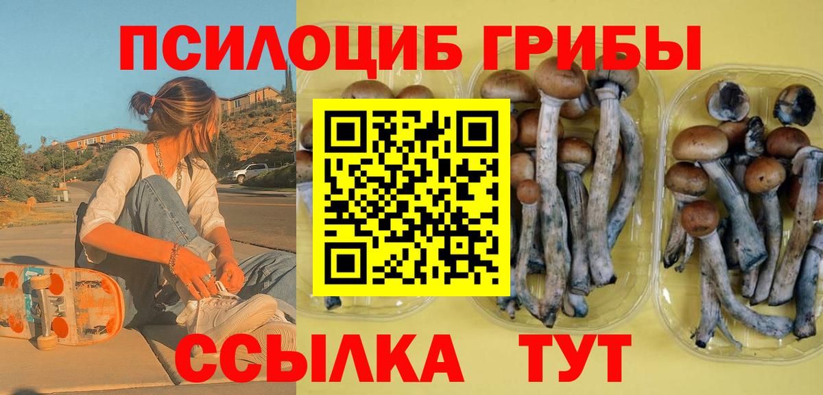 Галлюциногенные грибы мухоморы Рыбинск