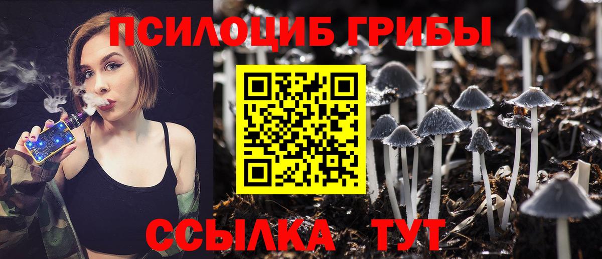 Рыбинск  Псилоцибиновые грибы Psilocybine cubensis  Псилоцибиновые грибы MAGIC MUSHROOMS  как найти закладки  Вход с VPN 